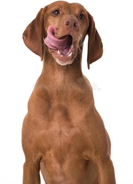 初入职场一定要知道的职场常识,上班后才知道的职场生存法则