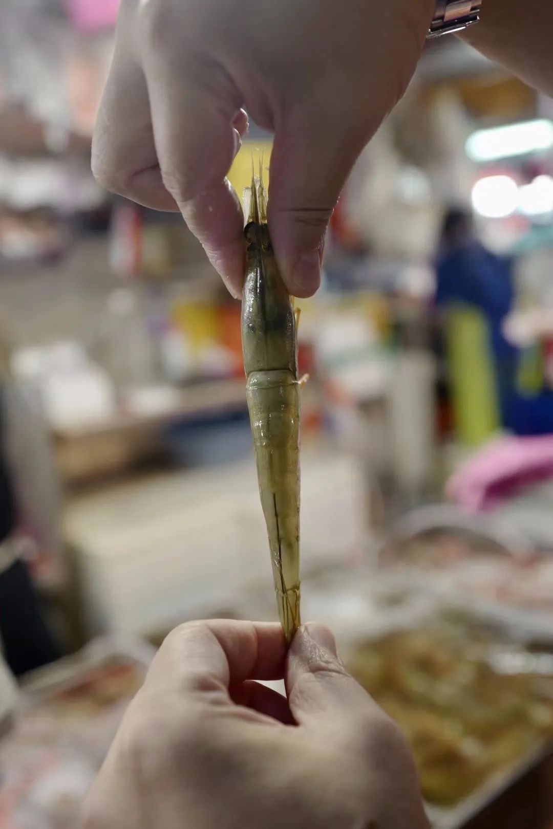 大师做菜的匠心,大师做菜大全