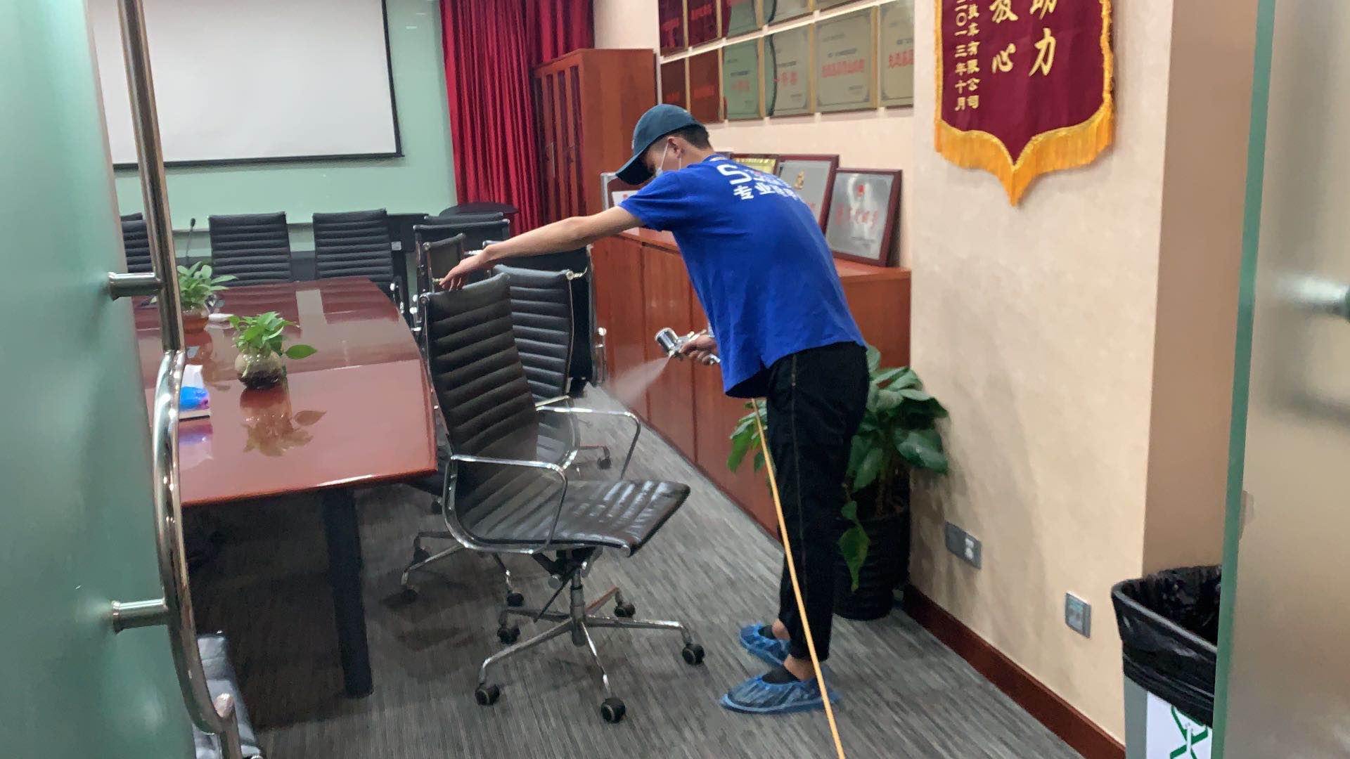 除甲醛十大品牌植物,除甲醛喷雾剂十大品牌