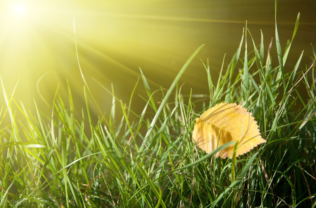 很吸引人的自我介绍,一个好的自我介绍让你脱颖而出