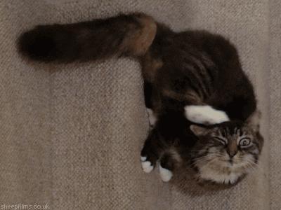 一到冬天就全身瘙痒,一到冬天全身皮肤瘙痒是什么原因