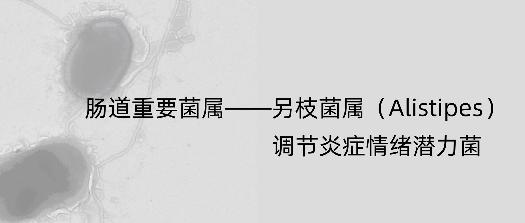 肠道菌群中占大多数的是拟杆菌 (肠杆菌中最常见的环境菌属)