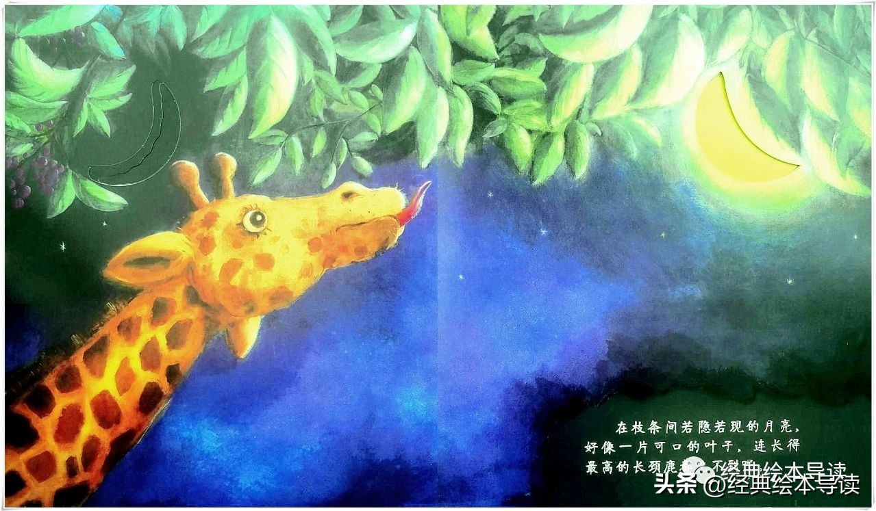 适合夜晚读的晚安书,晚安月亮绘本精读