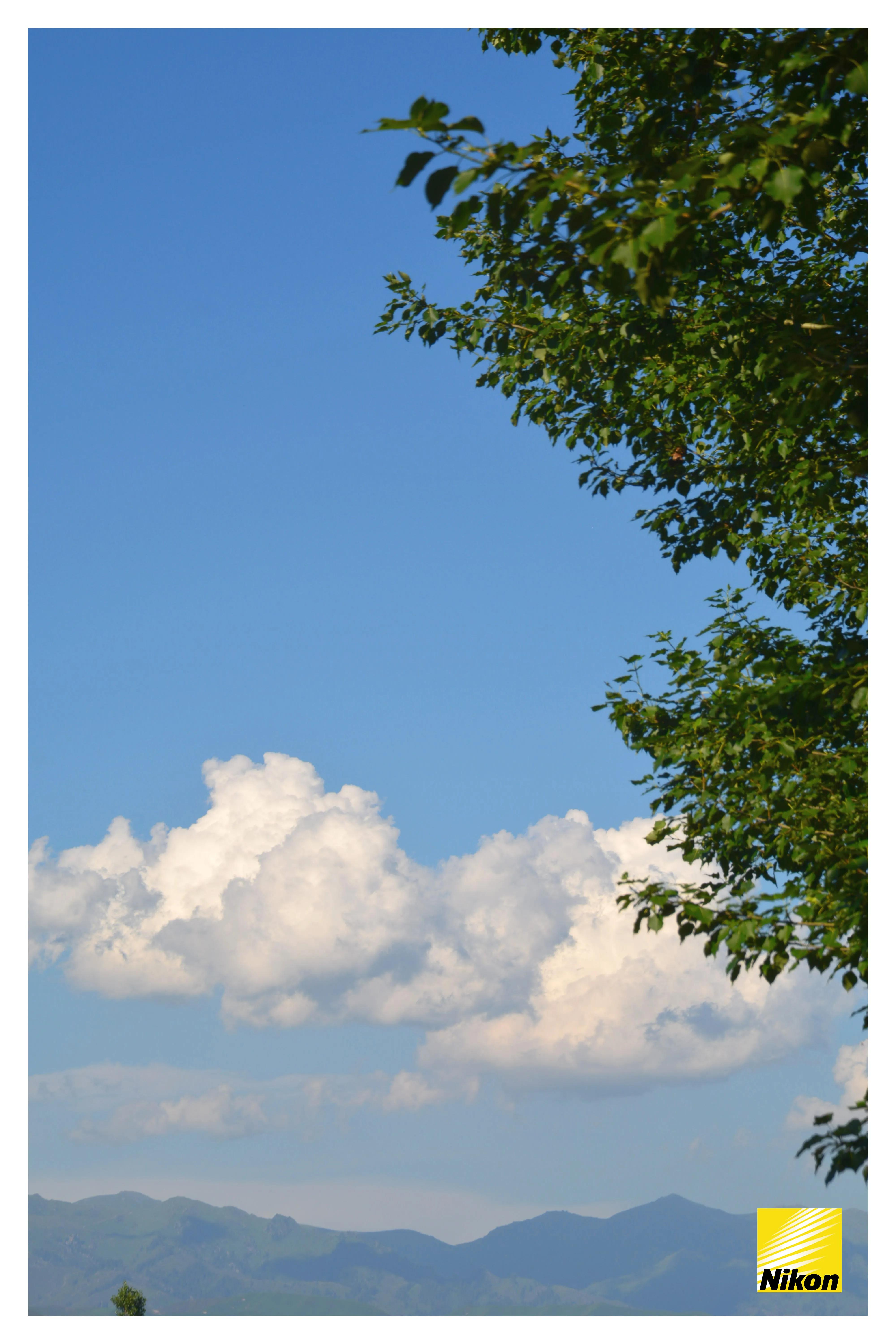 2023年我能否用一台11年前的单反来继续追寻我的摄影之路?