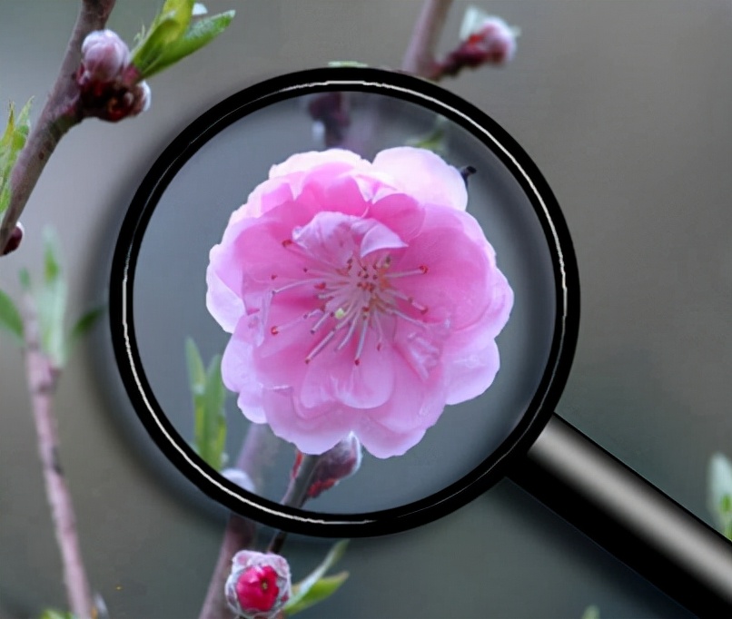 2024山东泰安物理一模考试卷,安徽中考2023物理一模试卷