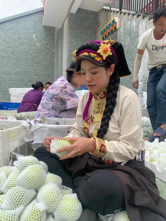 四川女孩嫁藏族小伙放弃百万年薪,四川女孩嫁甘肃农村视频