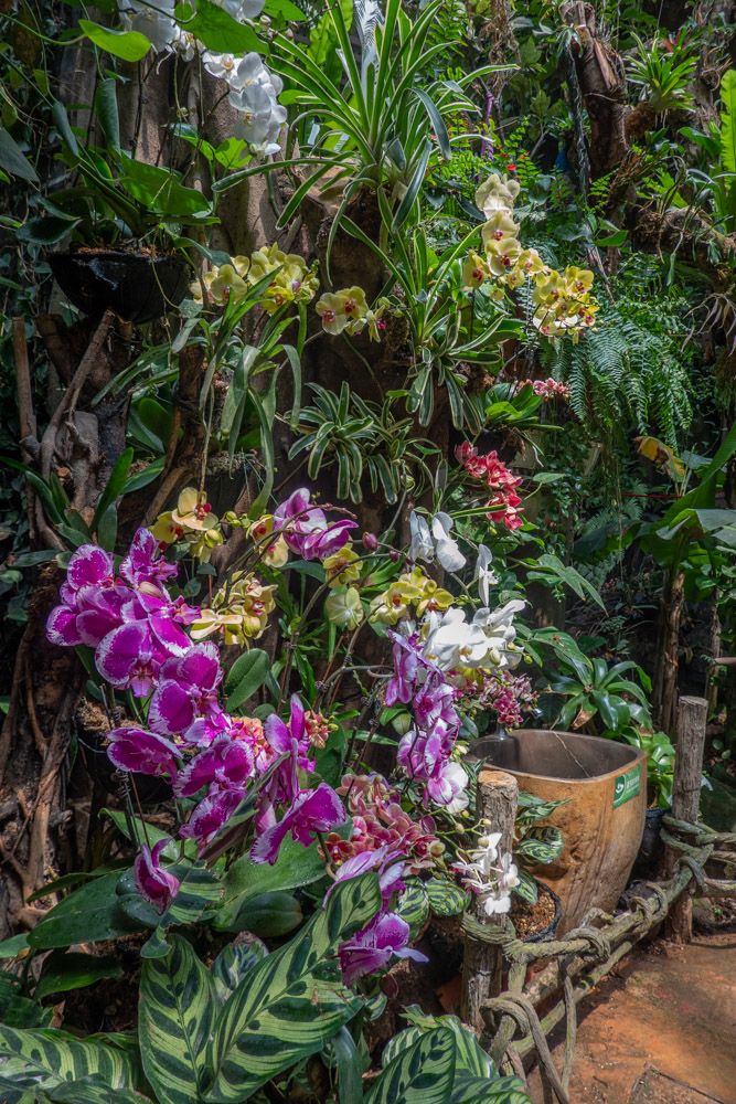 广州长隆野生动物园蛇之秘境,广州这个城市真的好繁华