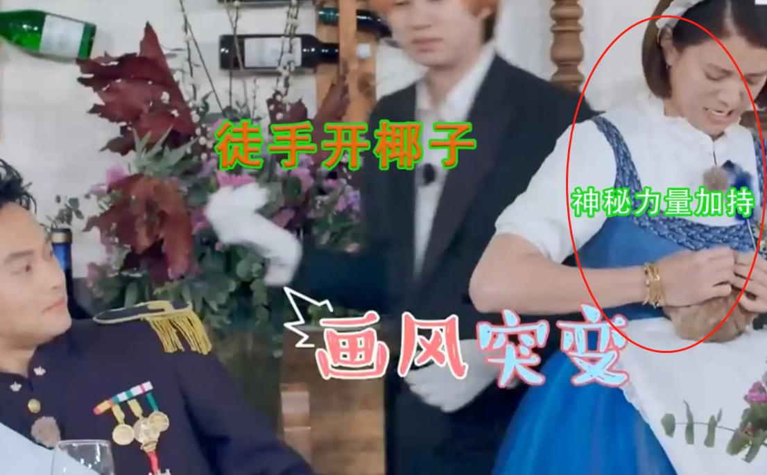 最美香港女星袁咏仪,最美港姐袁咏仪