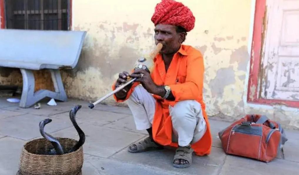 为什么现在的蛇不怕雄黄了,蛇为什么怕雄黄粉