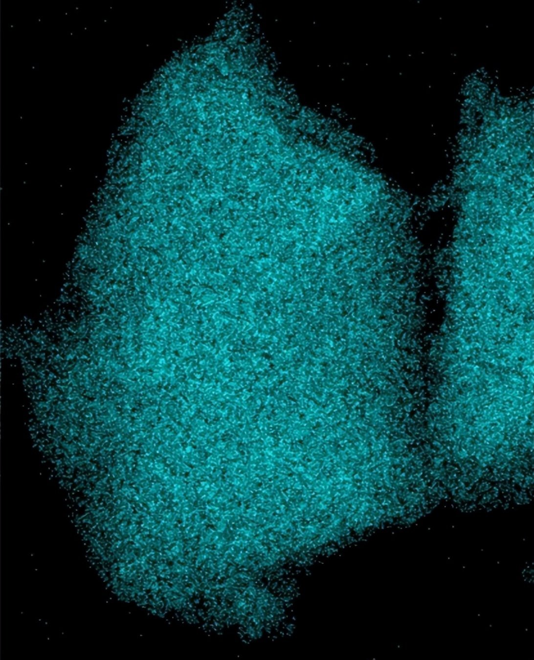 显微镜下的化学,显微镜下的世界奇妙图