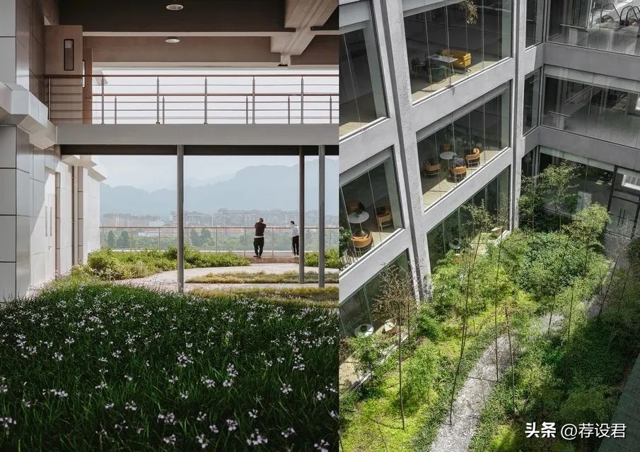 科图设计首嘉医院荣获WDA世界设计奖：专注于医养健康设计