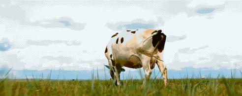 鏃ユ湰涓轰粈涔堝湪灞变笢绉熷湴,鏃ユ湰涓轰粈涔堝湪涓浗绉熷湴