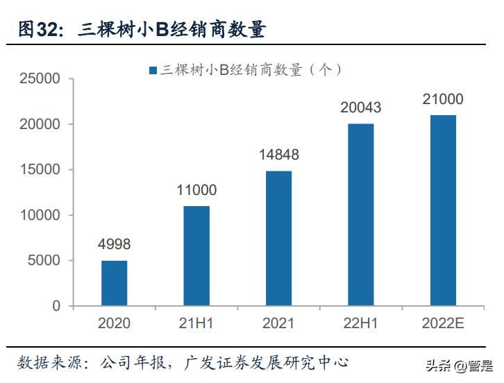 三棵树发展理念,三棵树战略规划