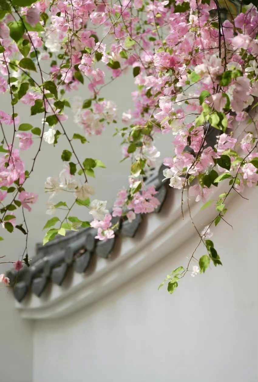 释怀吧在这浪漫的春天下一句,释怀吧在这浪漫的春天里