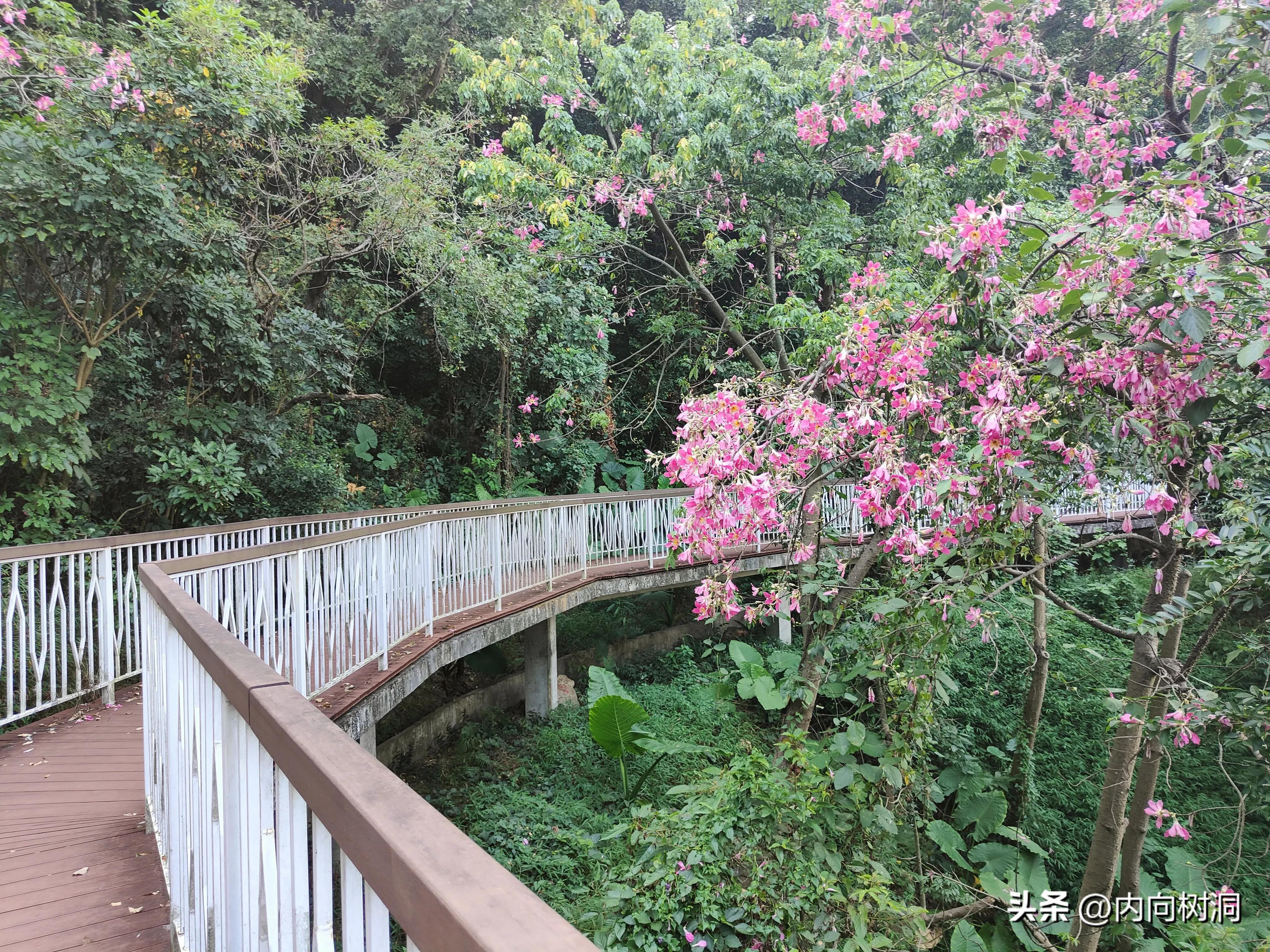 淘金山求水山徒步线路,求水山淘金山绿道在哪里