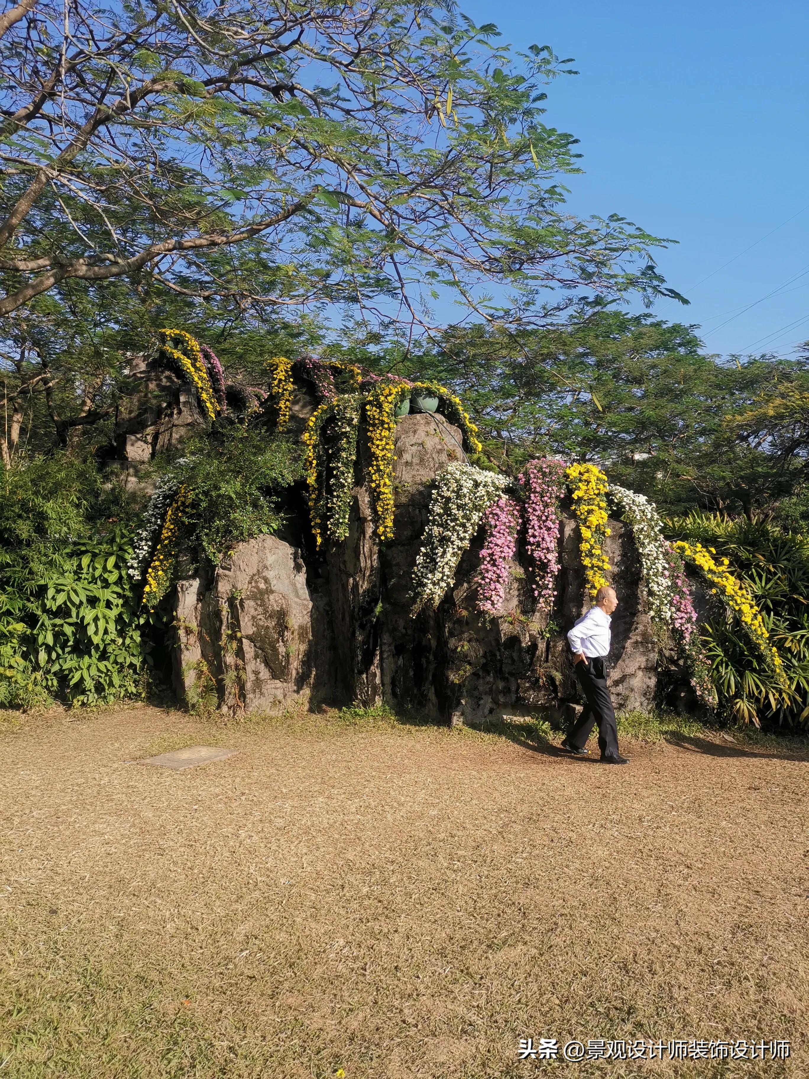 深圳市东湖公园广场舞,深圳市东湖公园收费标准