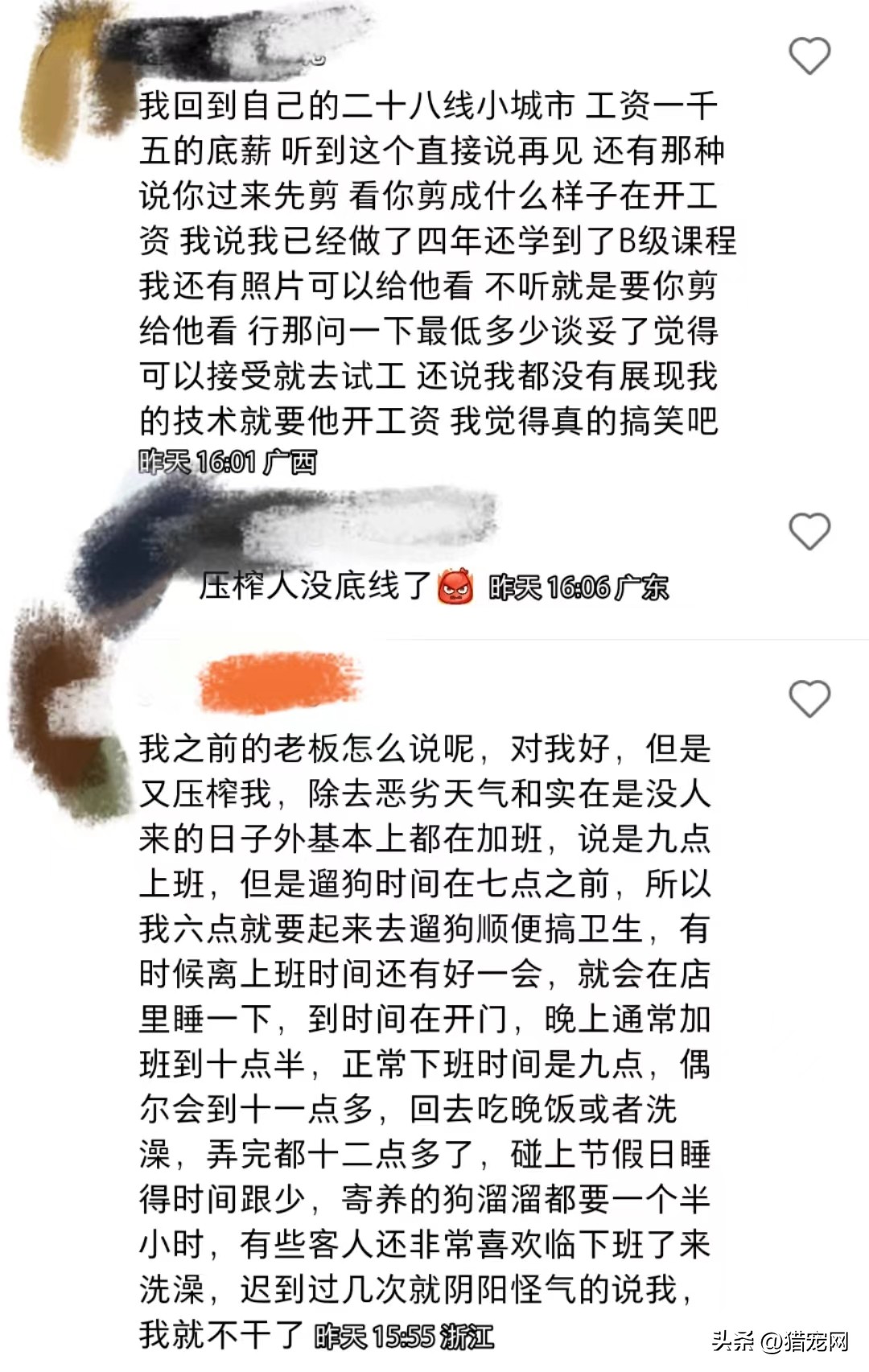 宠物店打工需要什么学历,没有经验可以去宠物店打工吗