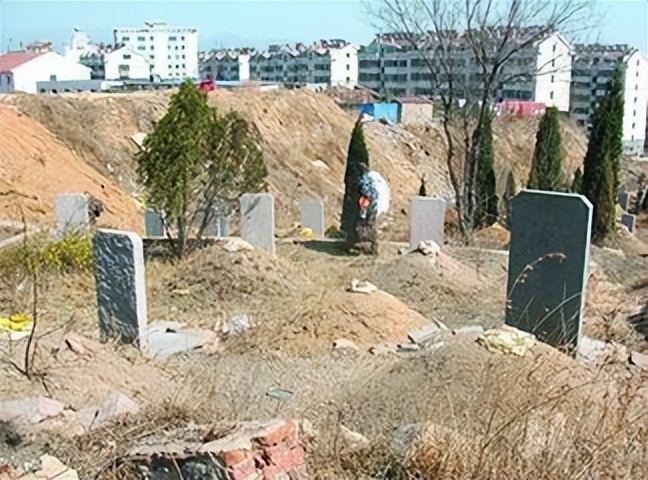 人死火化是浪费资源？动物死了进入生态循环，人类却打破自然规律