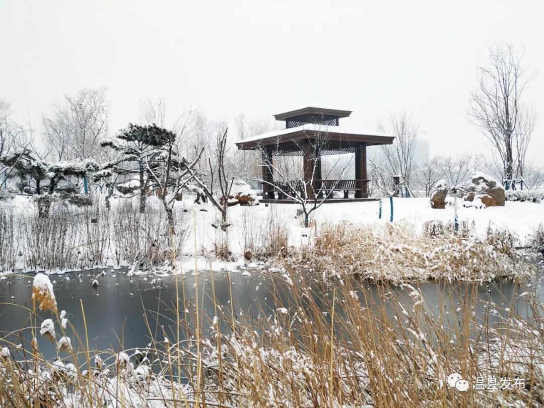 来这里邂逅最美秋韵,焦作温县玩雪