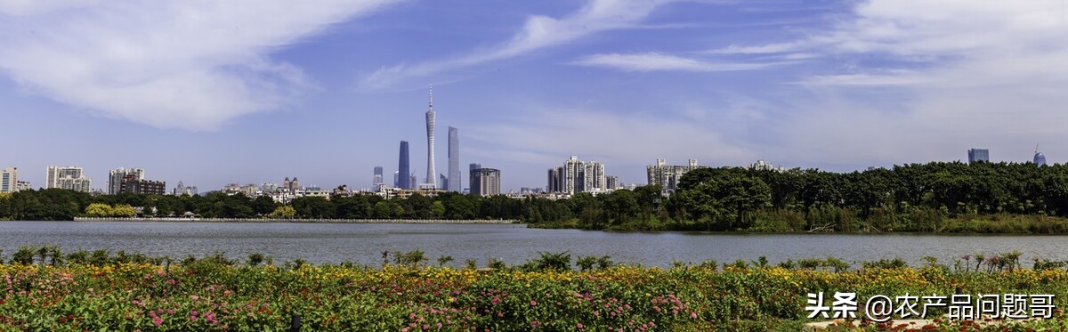 广州天河区农副产品交易市场,广州白云区太和农产品批发市场