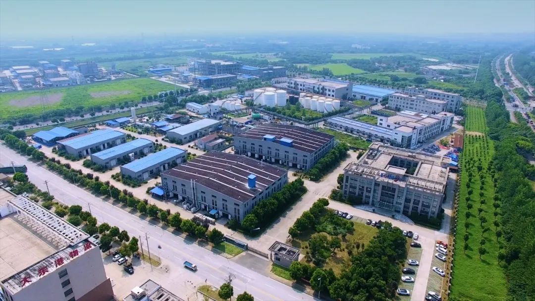 大连东港板块图,东港板块