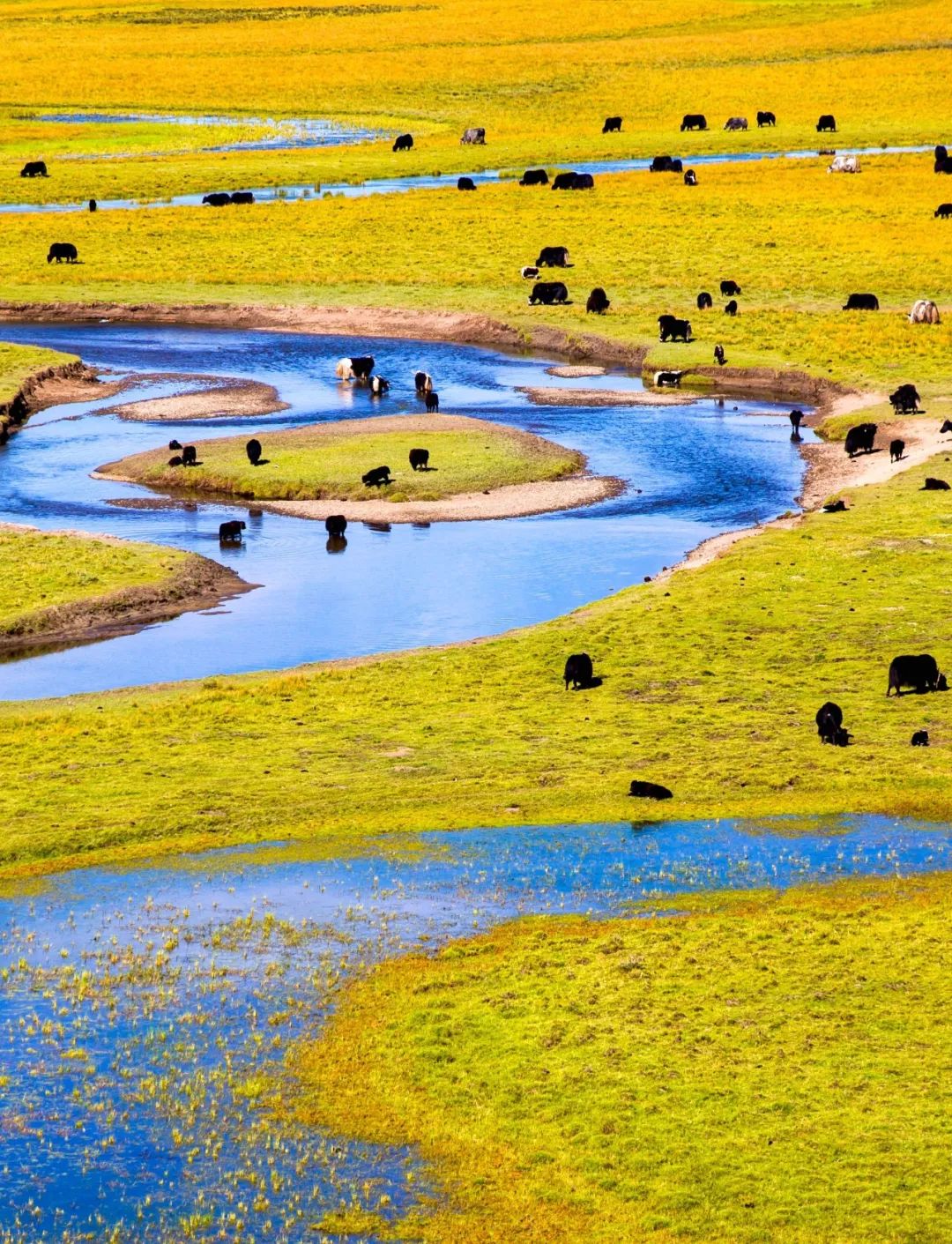川西阿坝旅游详细攻略地图,川西阿坝旅游攻略三天
