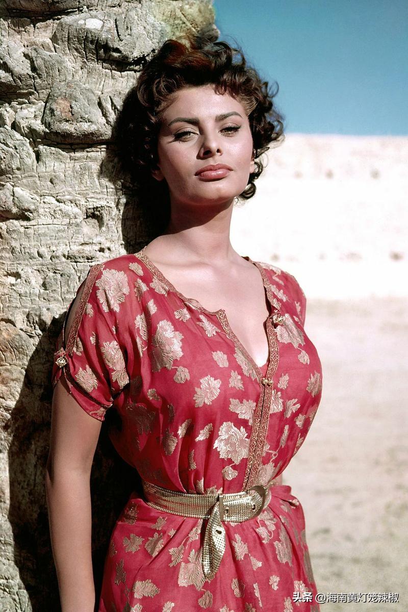 不老女神她的保养秘诀是什么,索菲亚罗兰年轻时的美貌