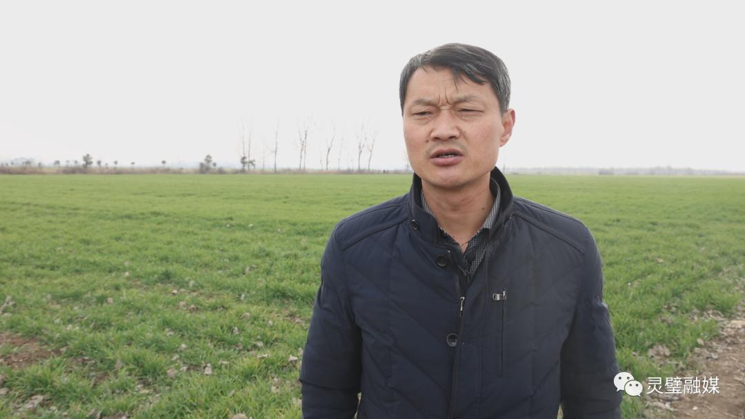 人勤春来早春耕正当时图片,人勤春来早春耕正当时现场报道