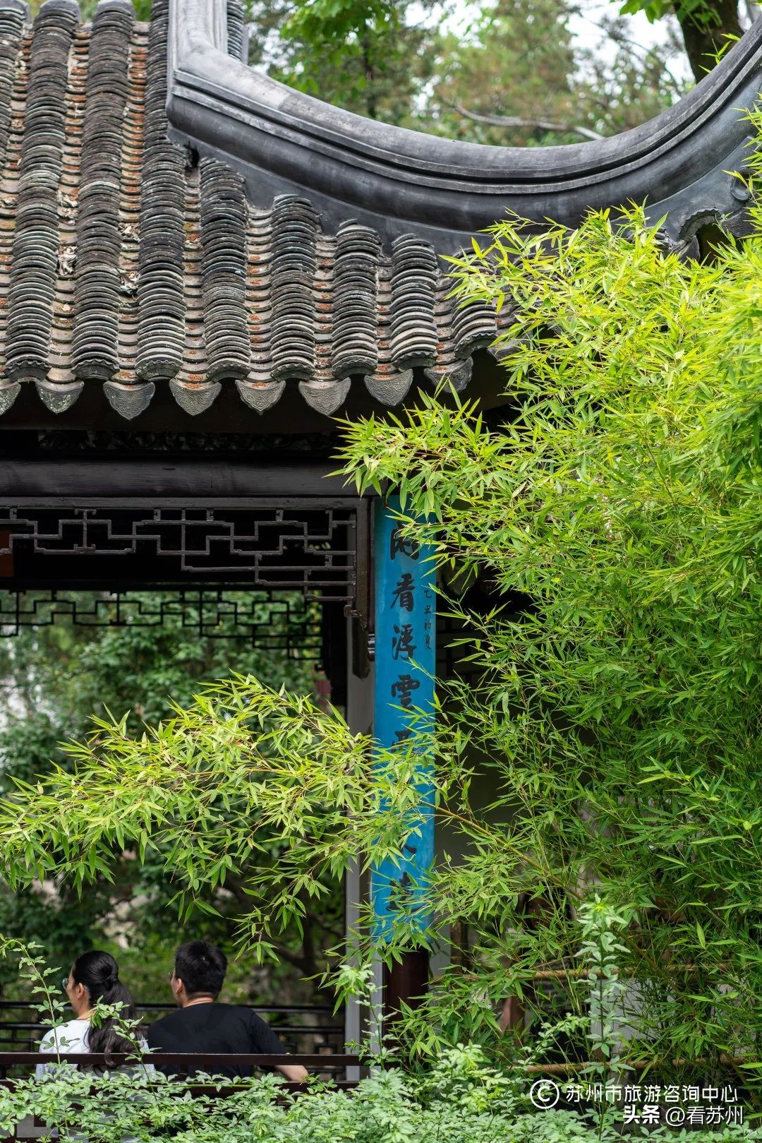 苏式园林庭院壁纸,苏州园林之夜壁纸