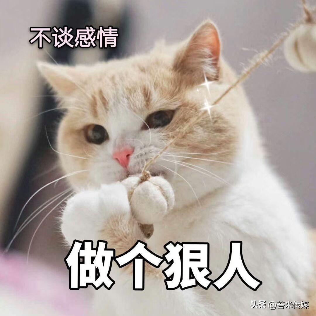 如何建立搜狗百科商业词条,搜狗百科怎么删除词条