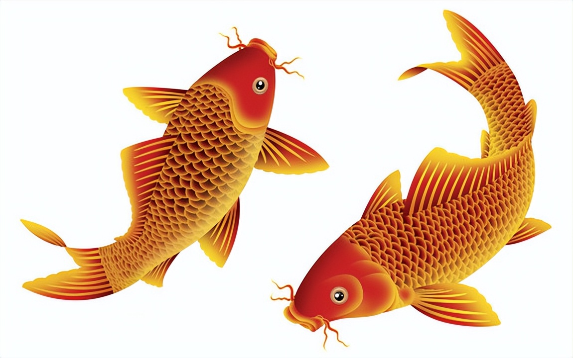 足球推荐今日预测意大利,国际米兰vs萨勒尼塔比分预测