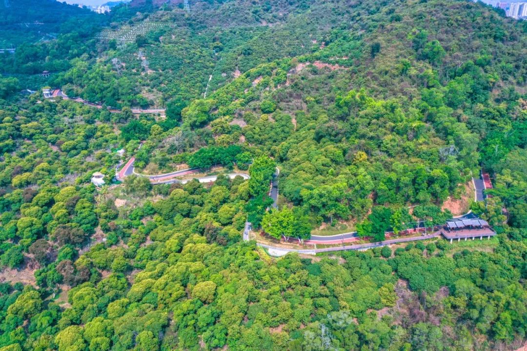 罗湖夜间游玩景点攻略大全,深圳罗湖八大必去免费景点室内