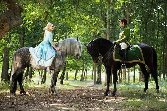 灰姑娘水晶鞋故事完整版,灰姑娘的水晶鞋童话故事