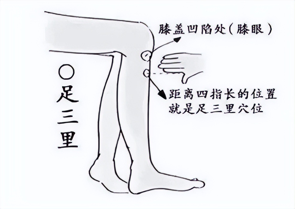 梁丘穴与哪个穴位配合治胃病,艾灸怎样灸治胃病灸哪几个穴位