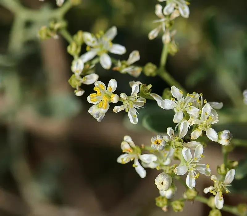 给你全部的温情与热爱,想给你全部的温情和热爱