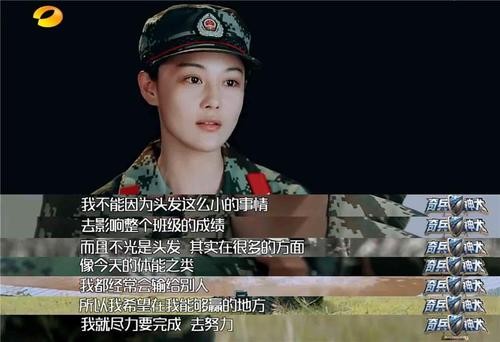 张馨予和何捷姻缘,张馨予何捷的爱情故事