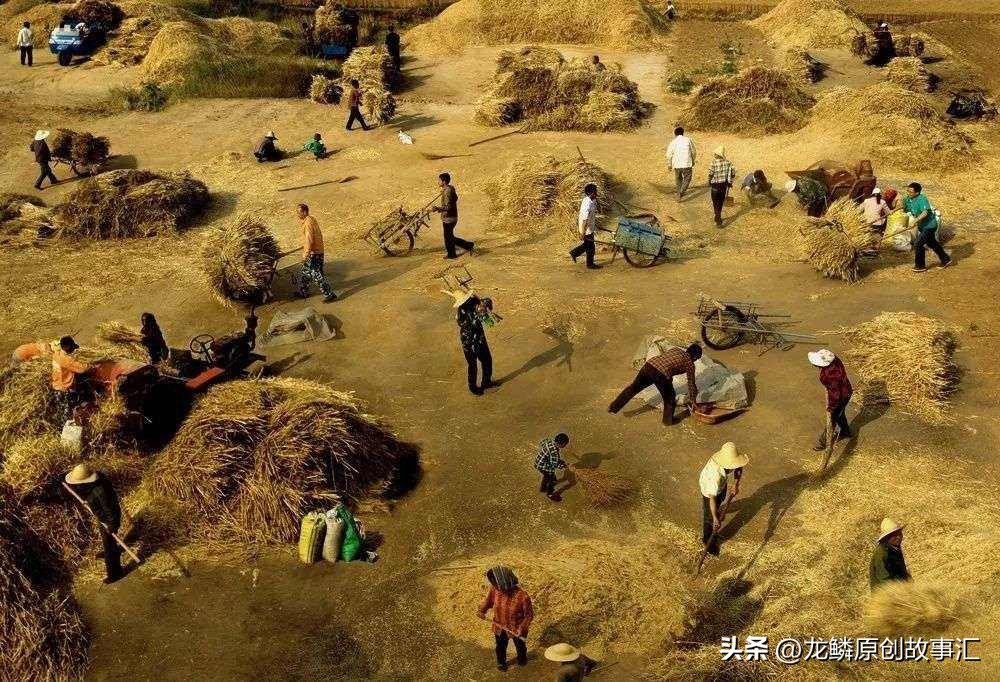 80岁老母瘫痪在床儿子要出去工作,老人瘫痪在床母亲以泪洗面