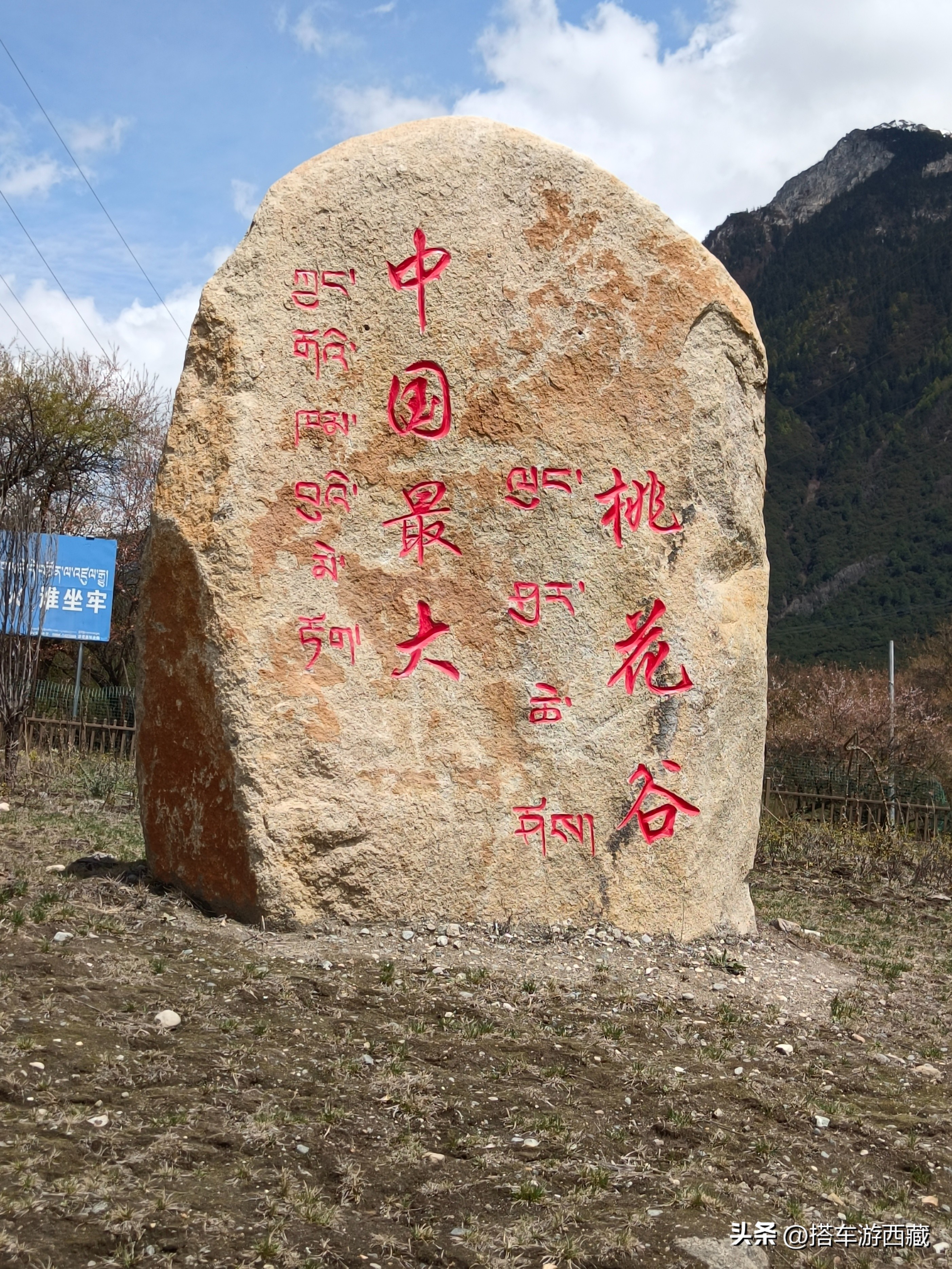 世界顶级桃花谷,最美桃花谷在哪里