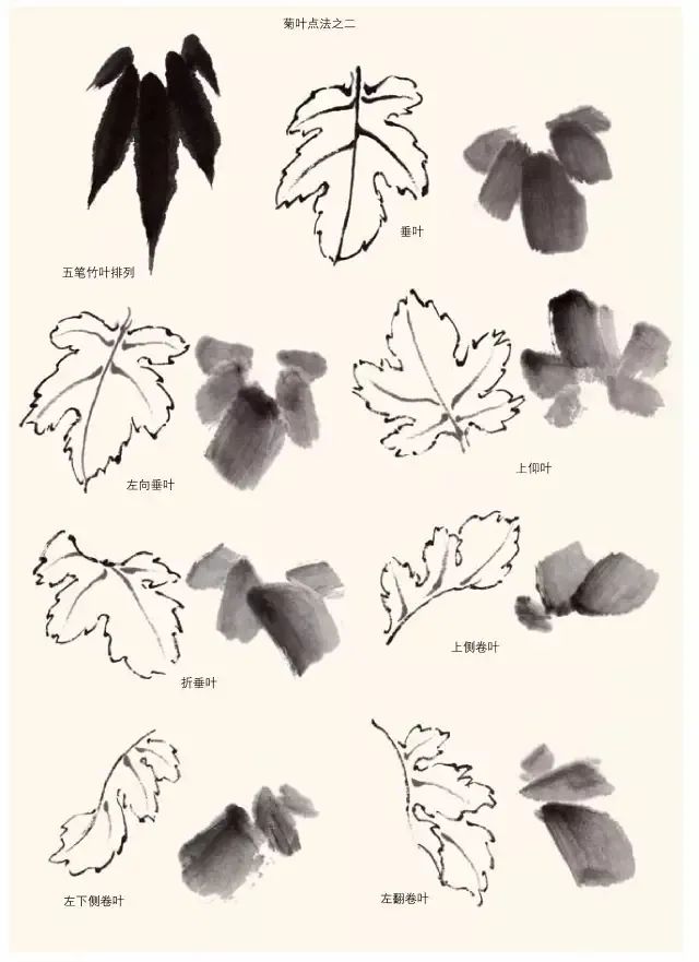 詹仁左写意菊花画法,陈半丁菊花写意画法