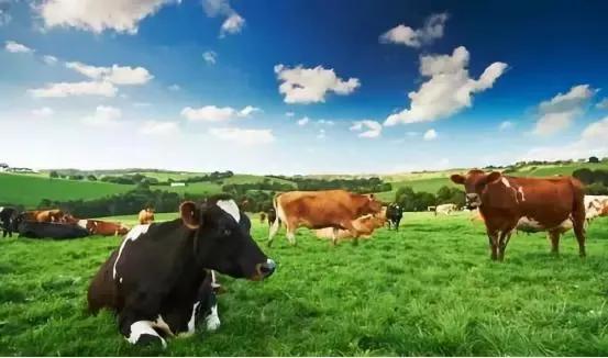 澳大利亚是不是活得最轻松的国家,澳大利亚一个让人神往的国家