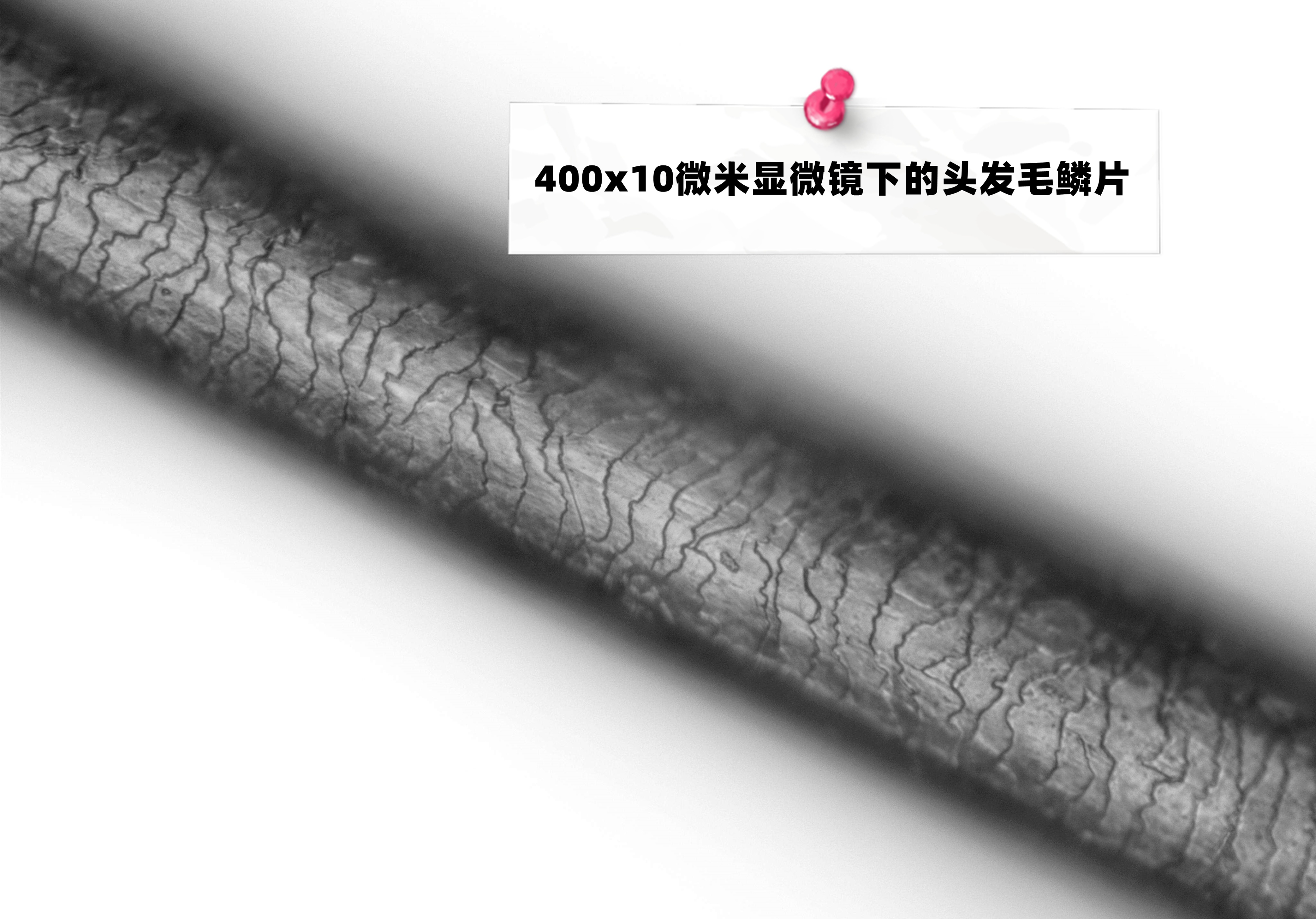 吹风机国货对比戴森,一千多的戴森吹风机是正品吗