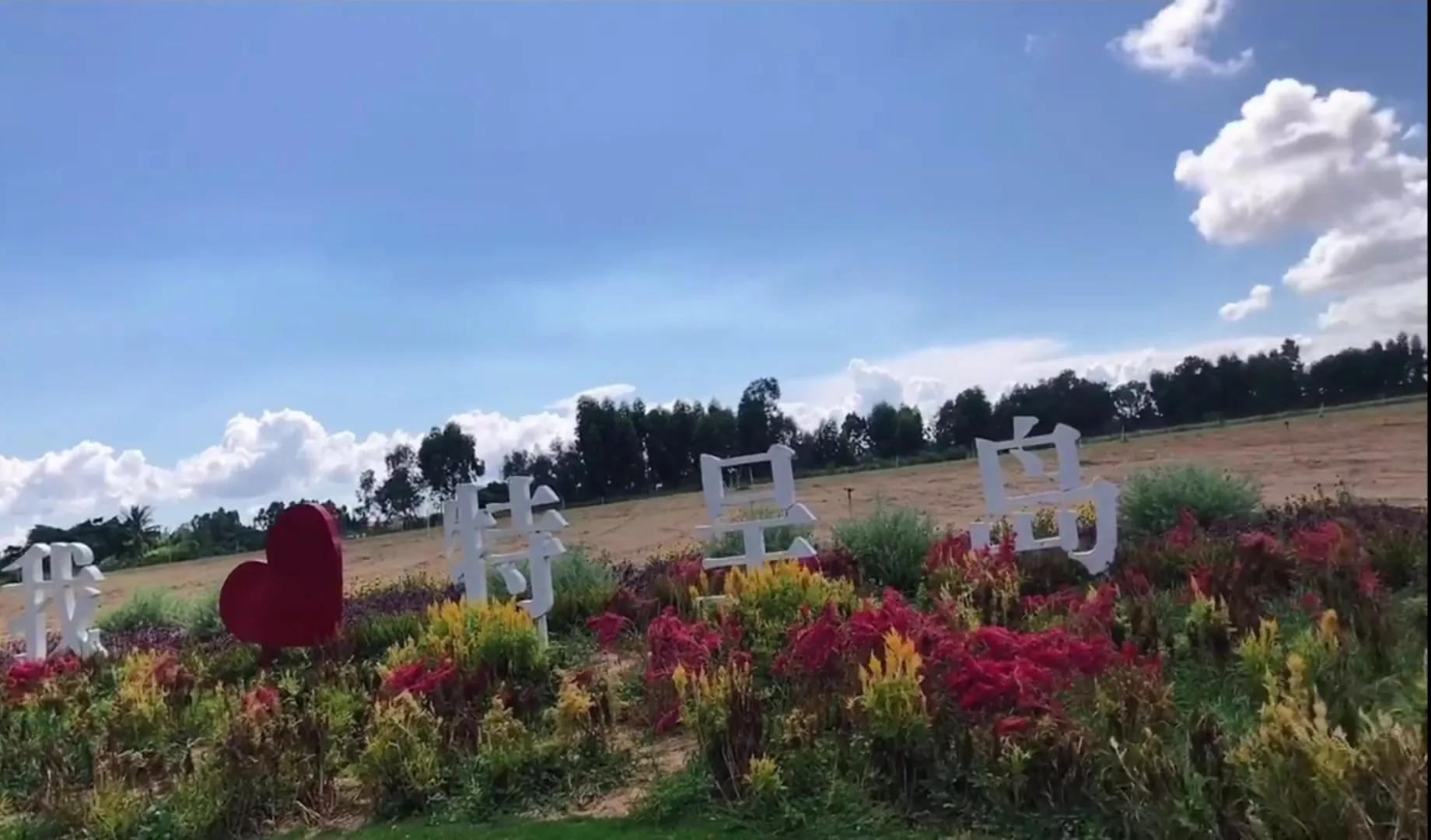 遇见最美的湛江,湛江特呈岛之旅