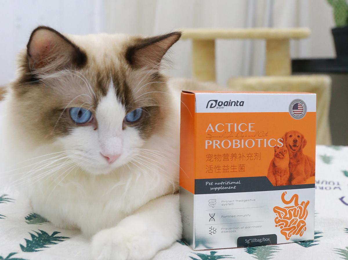 有人喜欢没毛的猫吗,无毛猫可以放在北方养吗