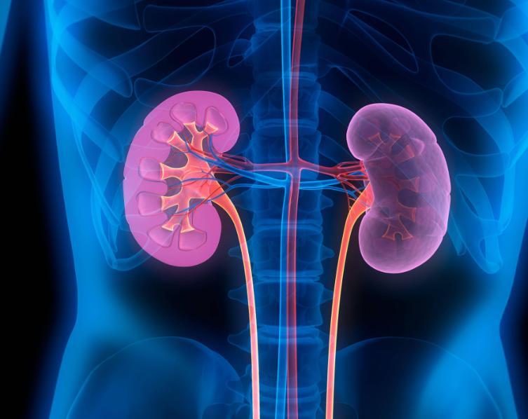 心血管病并发焦虑抑郁的药物治疗,治疗抑郁和焦虑可防心血管病