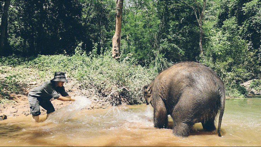 cop15大会高清图,cop15开幕完整版