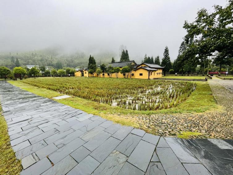春节江西自驾游最佳攻略,江西旅游攻略自驾游路线