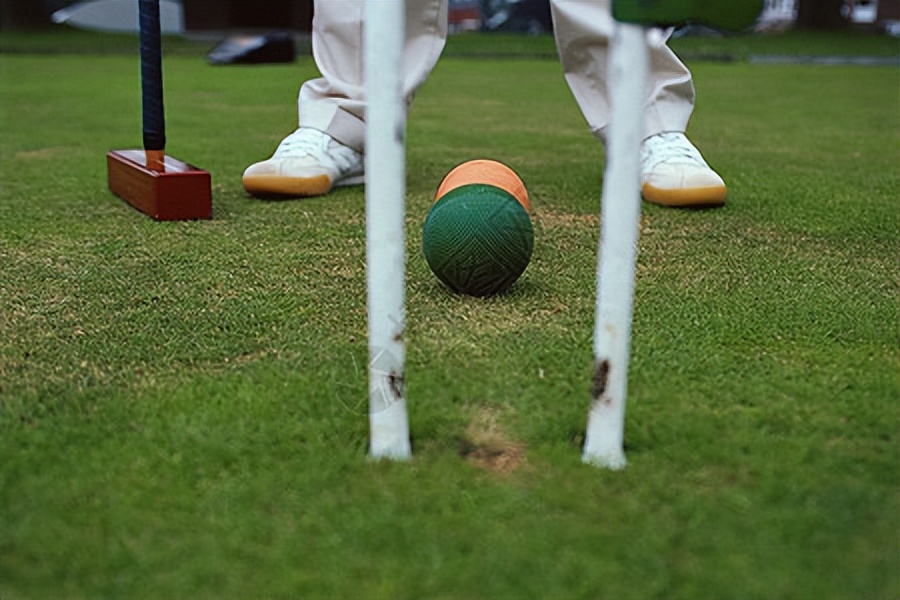 草坪养护改善土质,草坪养护中的施肥管理