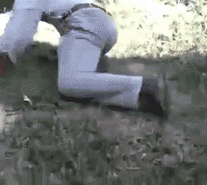 现在生意都难做的高情商回复,最近生意太好了高情商回复