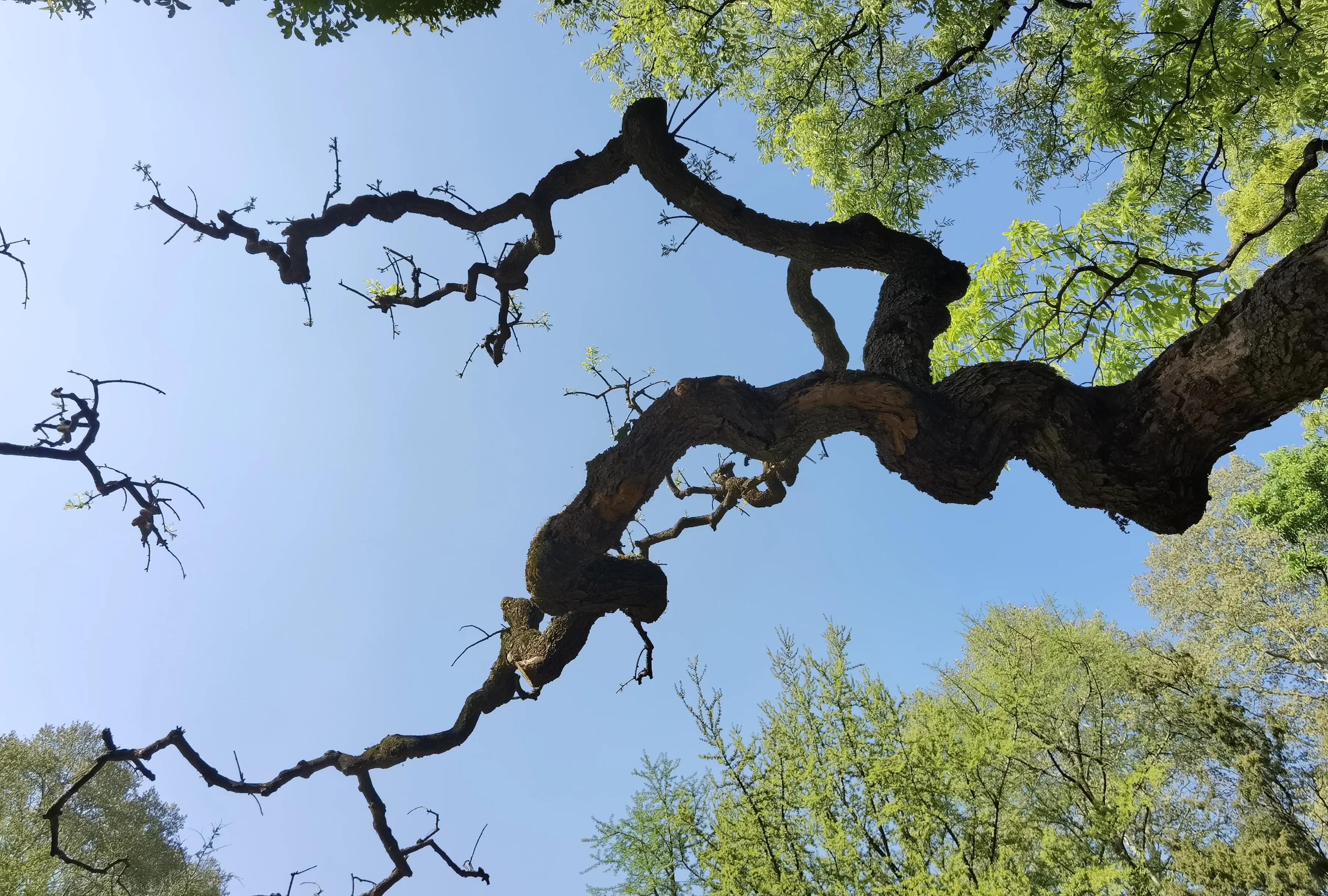 手拍世界近期作品,手拍世界完整版视频