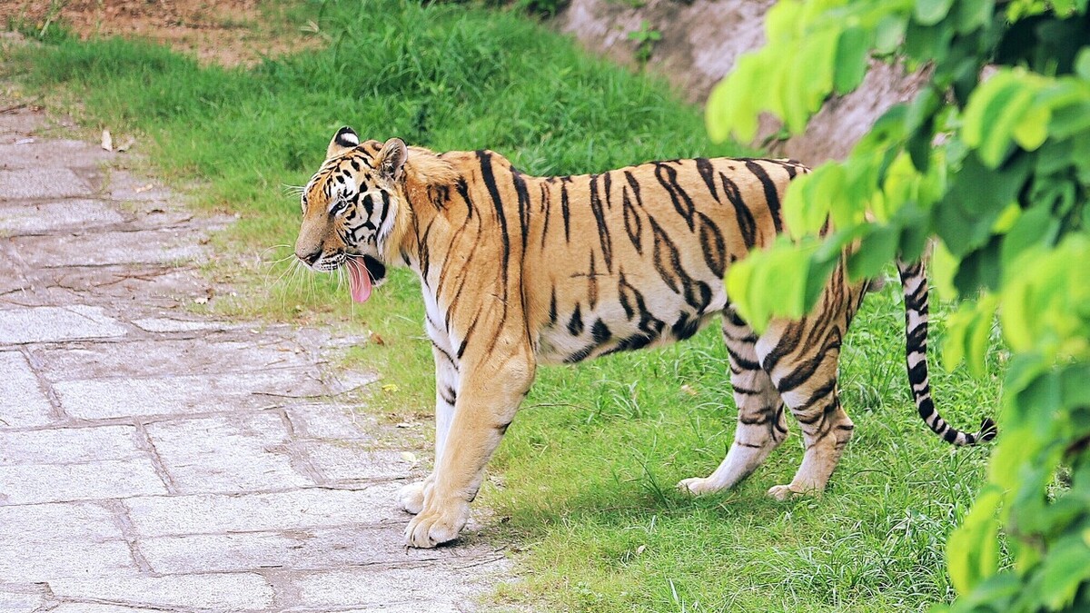 深圳周边温泉亲子游玩推荐,深圳元旦假期亲子游玩好去处
